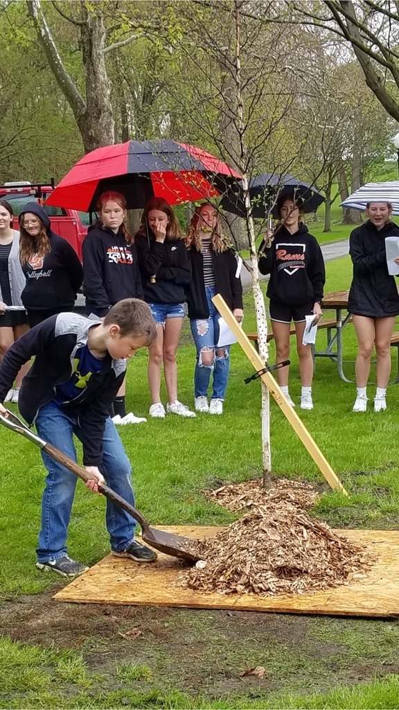 students planting tree