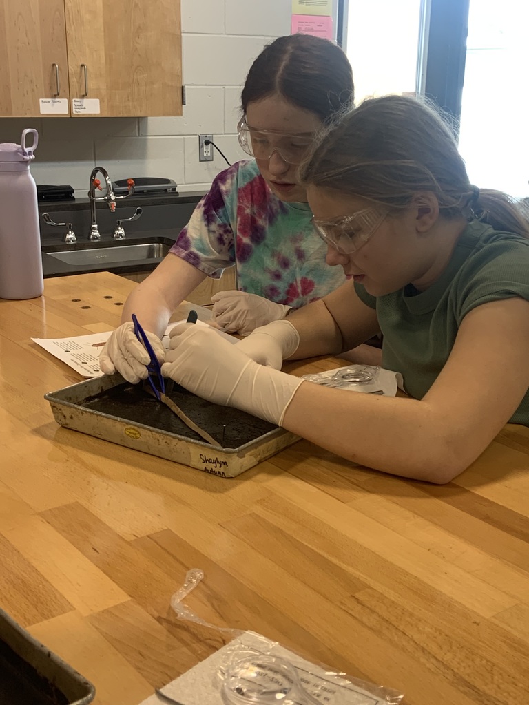 students dissecting a worm