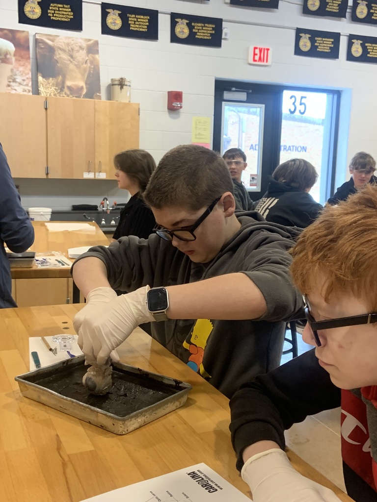 students doing a dissection