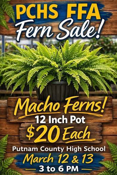 Fern sale $20 each March 12 and 13th from 3 to 6 pm.