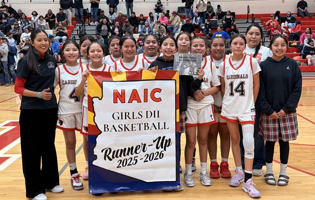 NAIC Girls DII Basketball