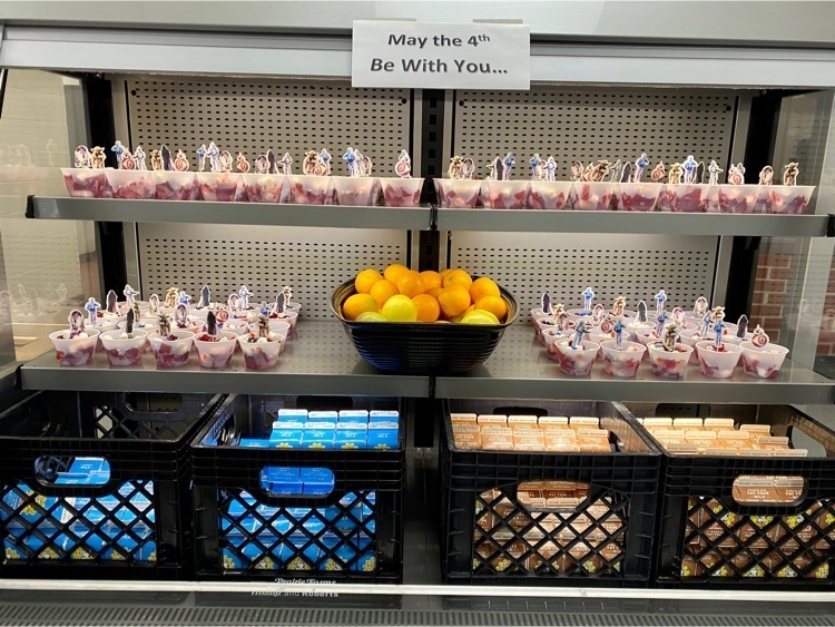 May the 4th Be With You!