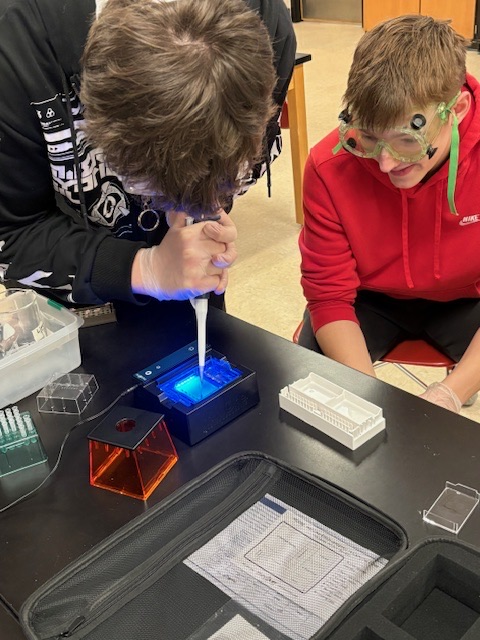 students working in lab