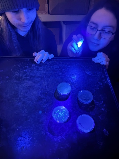 students working in lab