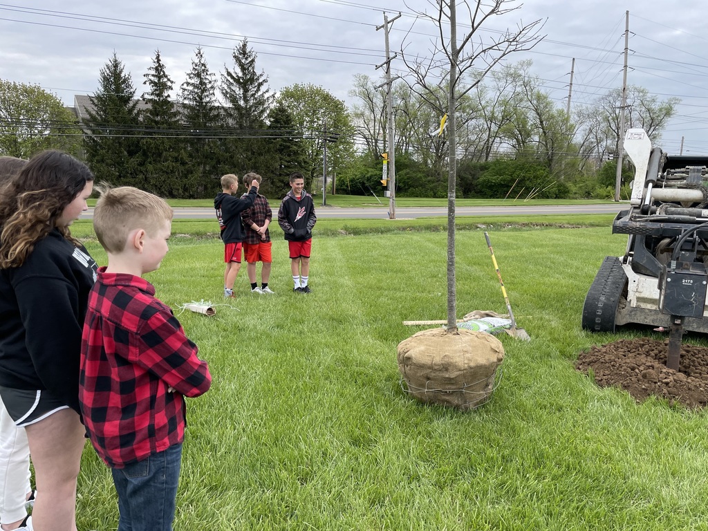TMS students watch as a hole is dug for a tree.