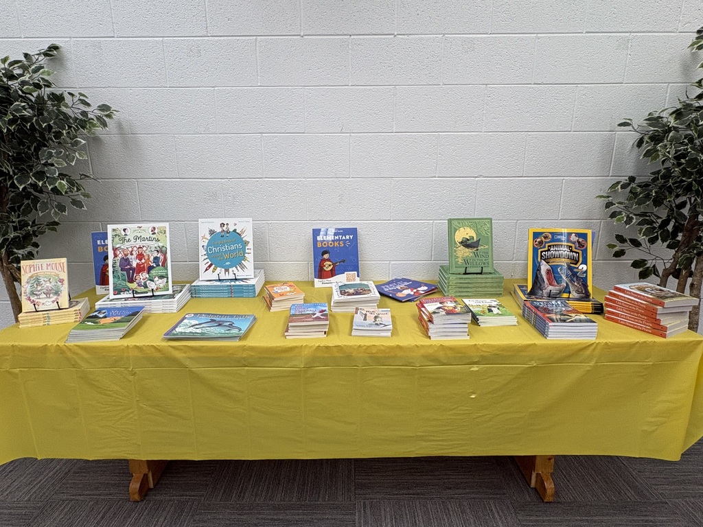Book fair books