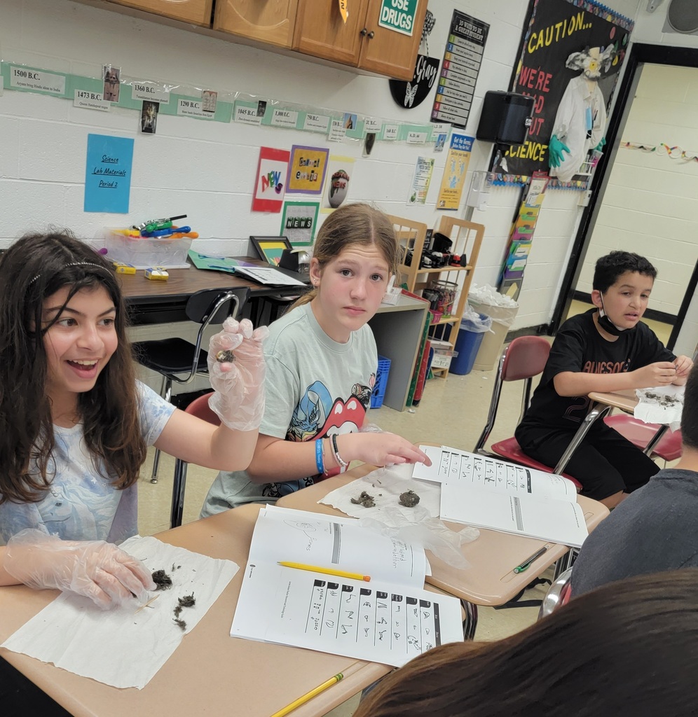 5th grade owl pellet dissection. 