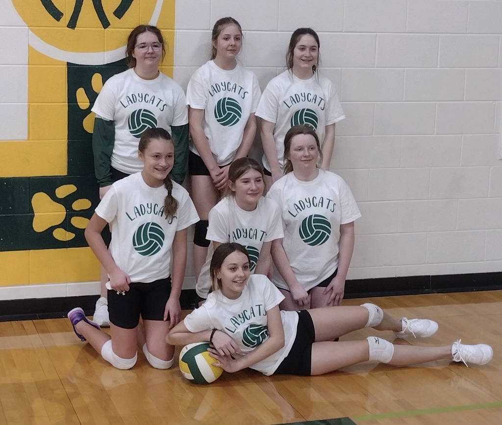 volleyball team