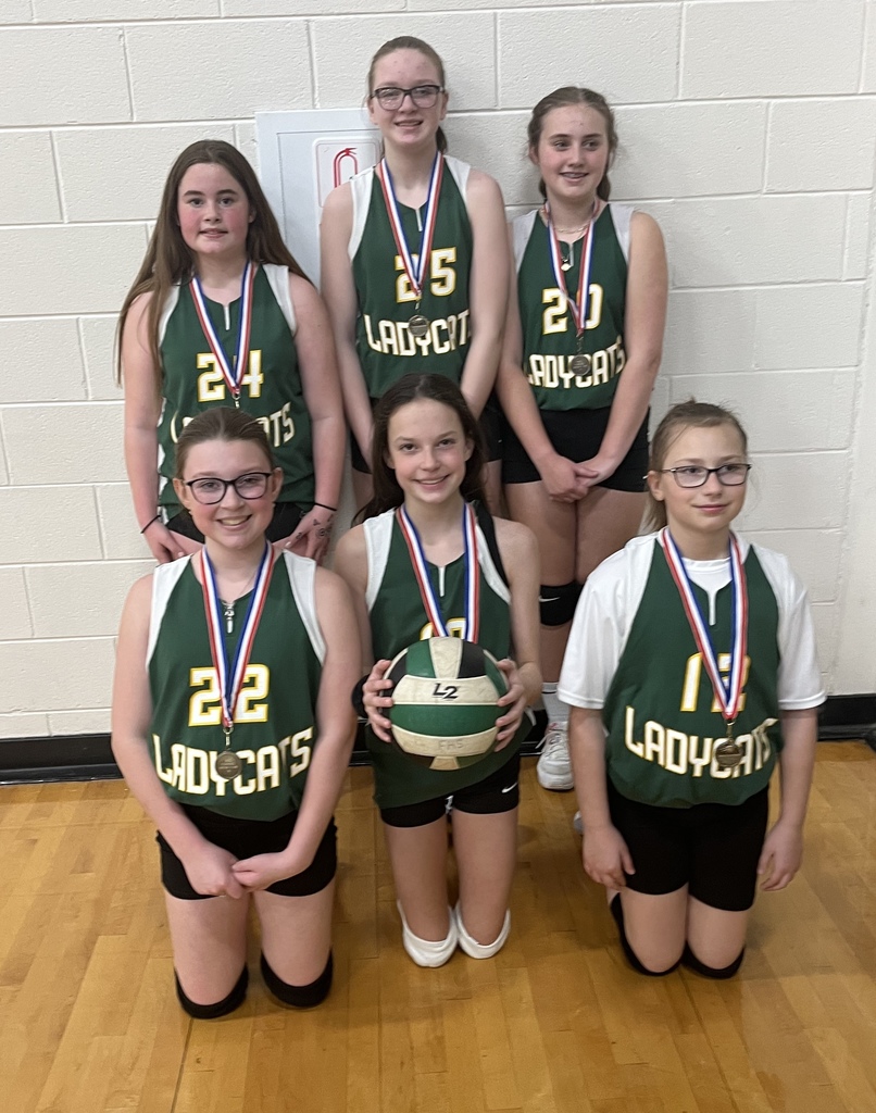 volleyball team