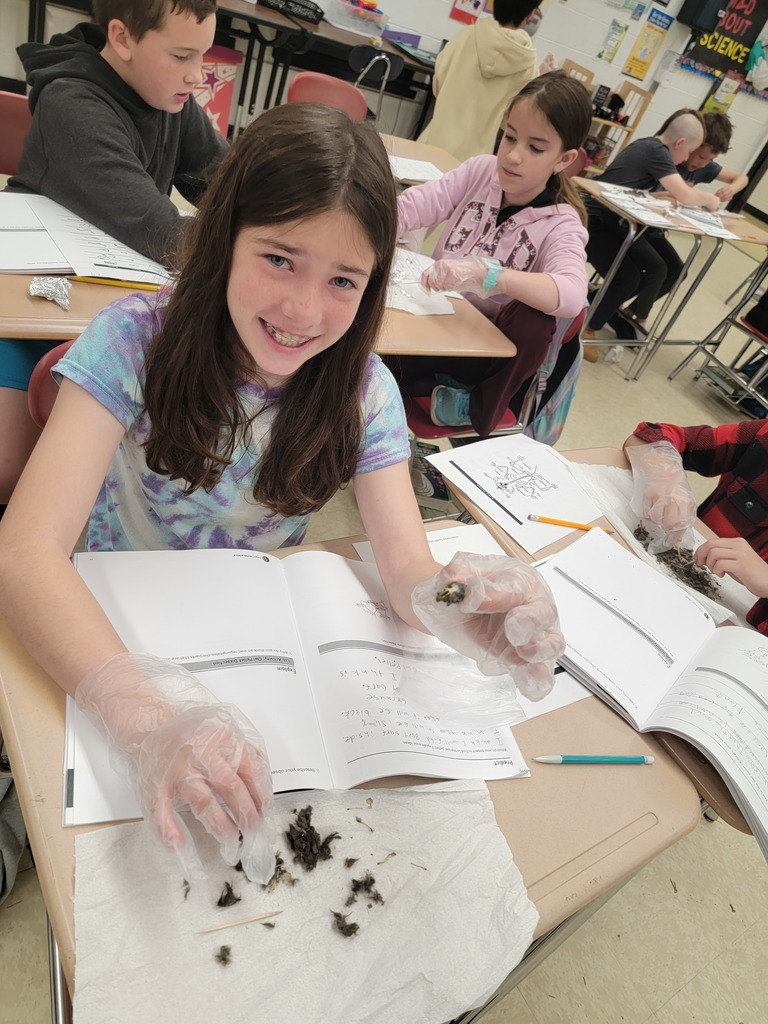 5th grade owl pellet science lab 