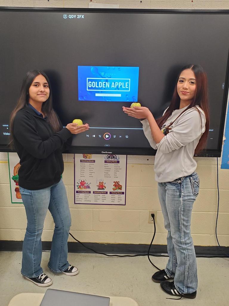 Rhetorical Device Project 10