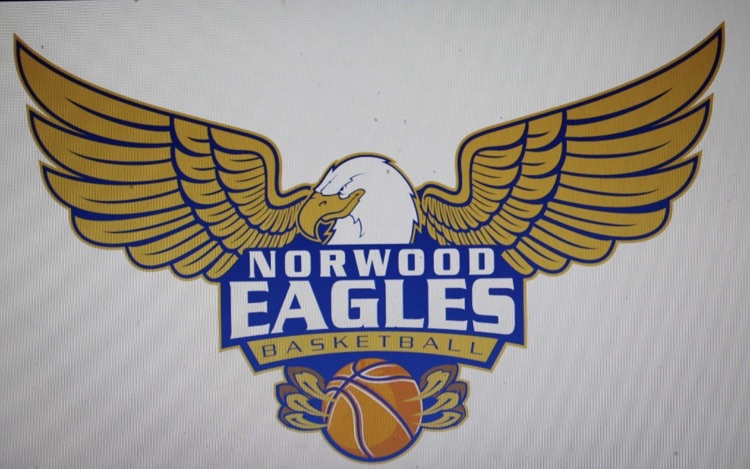 picture of Norwood basketball logo