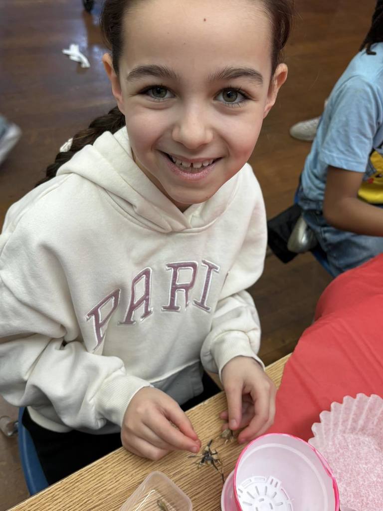 Young girl smiling in class and there are seeds in front of her hands on the table. 