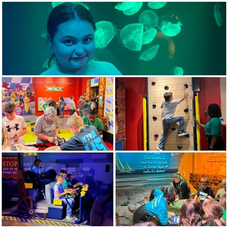 Lego Land and Sea Life 