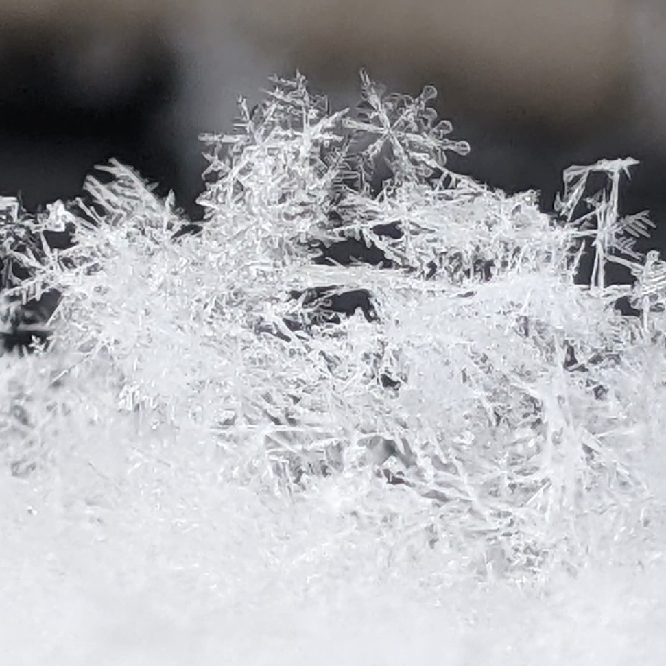 snowflakes icy