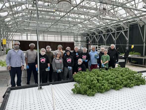 Students and adults wearing hair nets and gloves are standing in a greenhouse. 