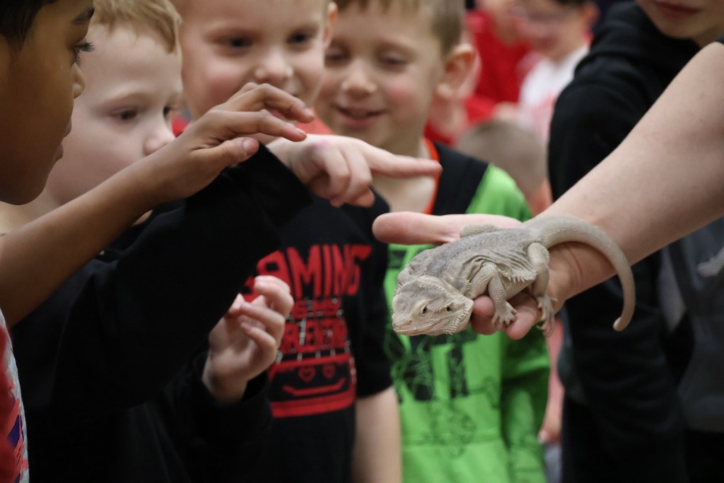 little boy petting a lizard