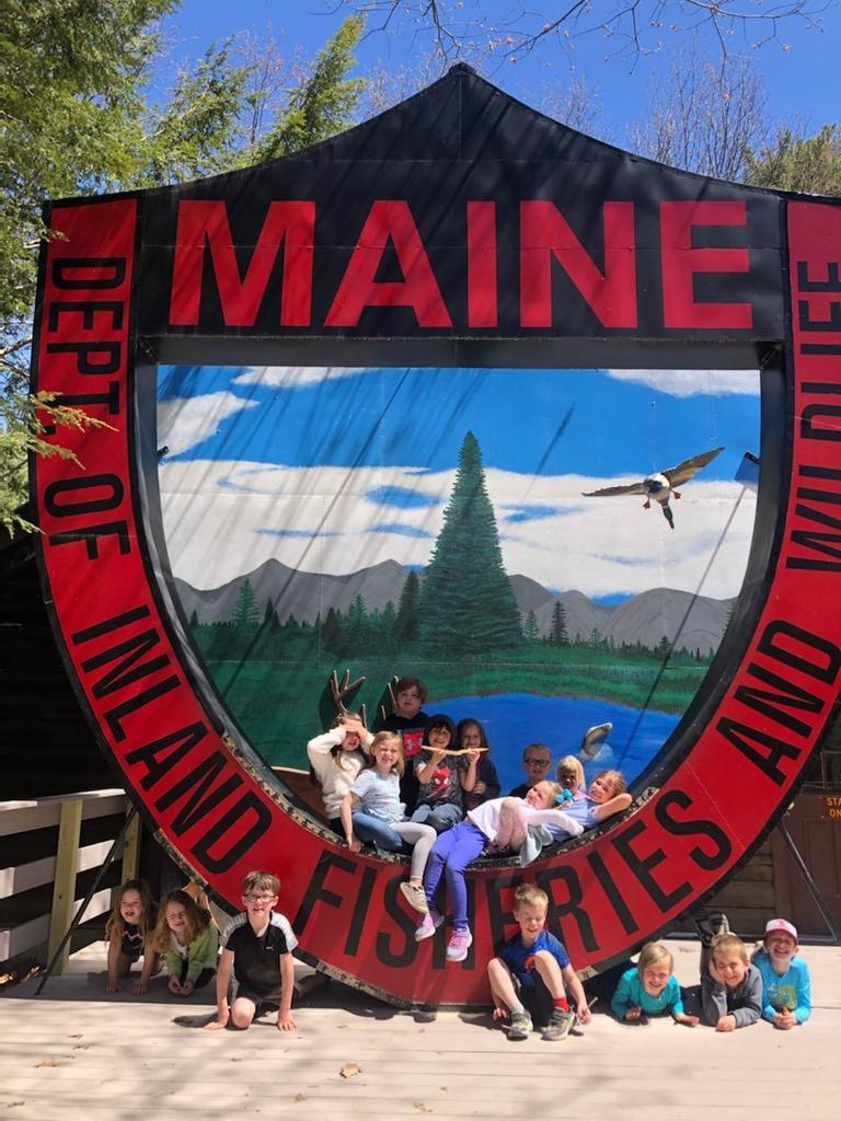 Maine Wildlife Pictures