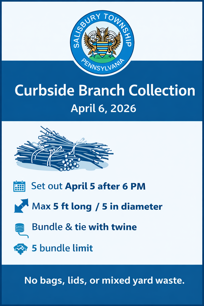 graphic of branch collection information