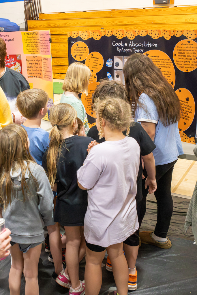 2nd graders look at science fair project