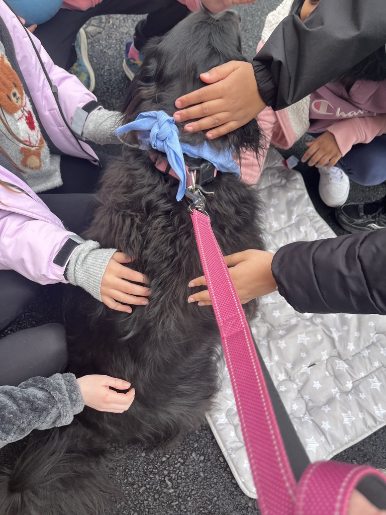 A group of elementary-aged students sit closely together outdoors, gathered around a medium-sized black therapy dog with long, fluffy fur. The dog is wearing a light blue bandana and is attached to a bright pink leash. Several children’s hands gently pet the dog’s back and head, showing care and excitement. The students are dressed in jackets and casual clothing, suggesting cool weather. The mood is warm and joyful, with the dog calmly receiving attention from all sides.