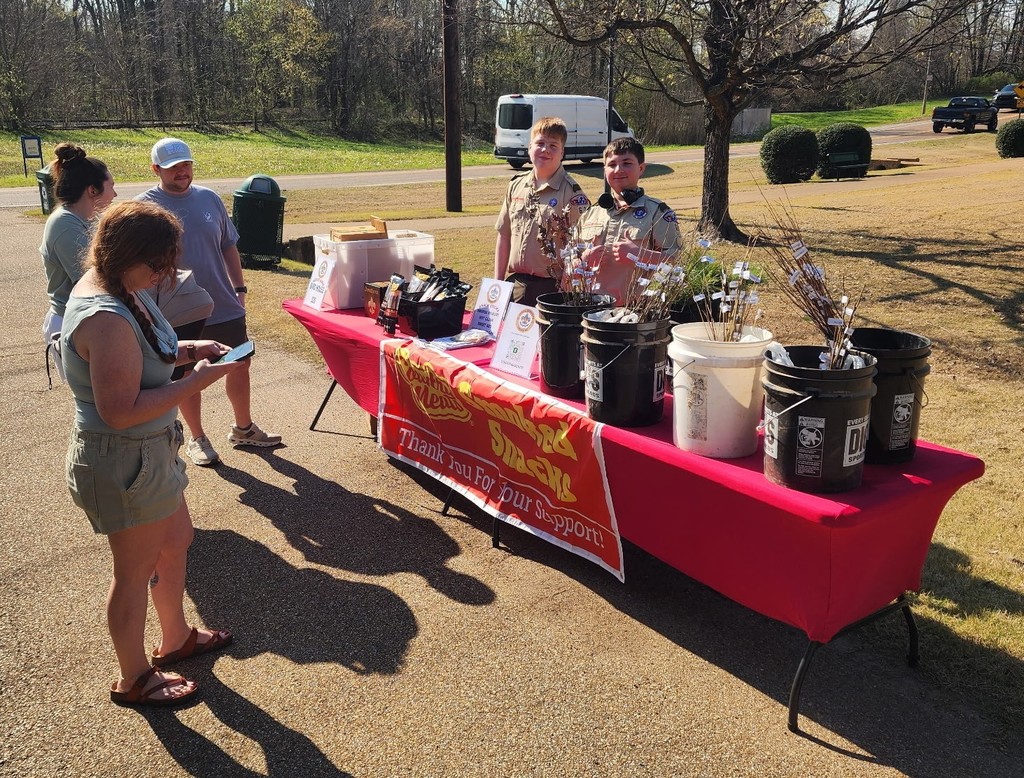 Tree Day Boy Scouts