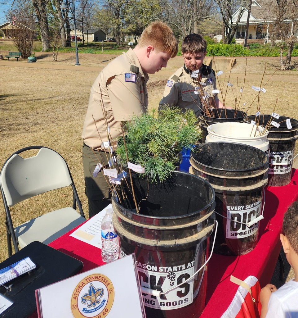 Tree Day Boy Scouts