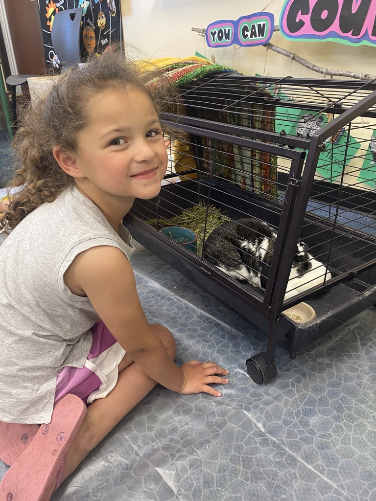 Betty Davis the Bunny