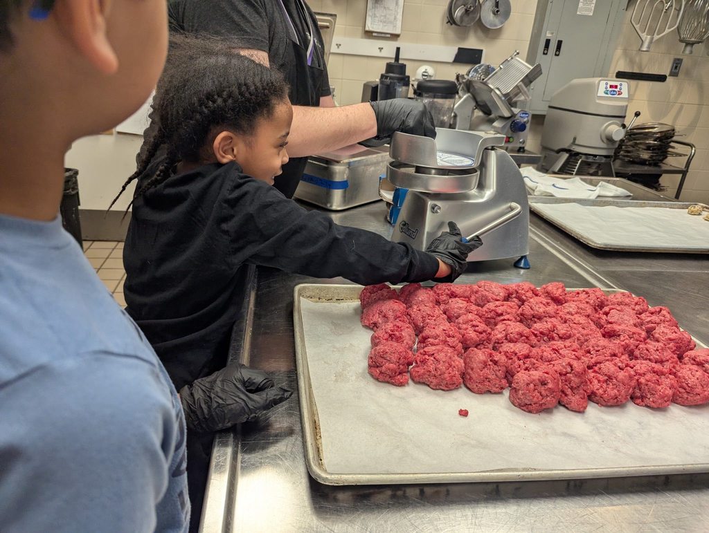 A student wearing a black shirt is helping press meat to make it into a patty for burgers. 