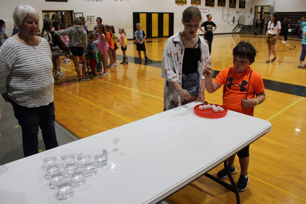 Ping Pong Water Game