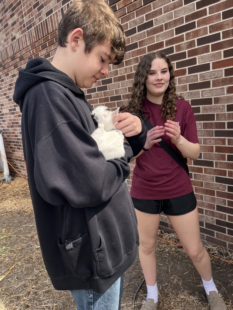 baby goat and students