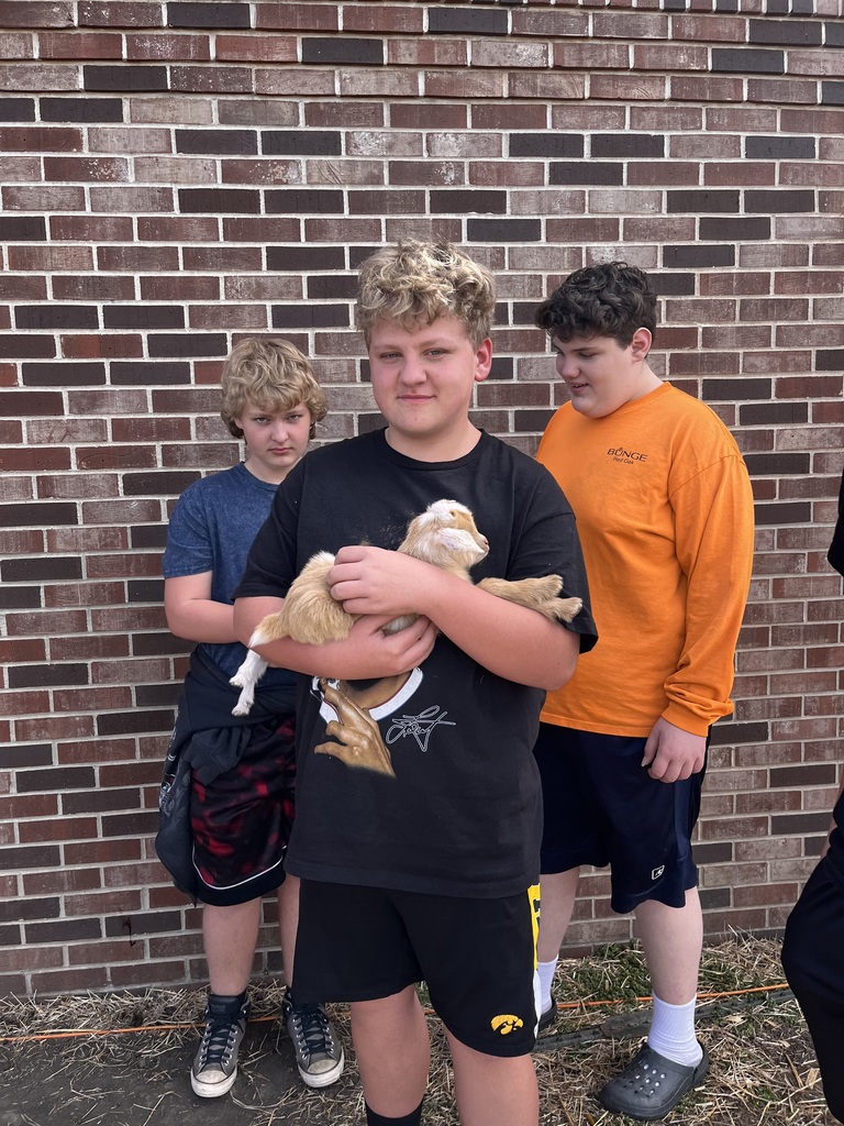 baby goat and students