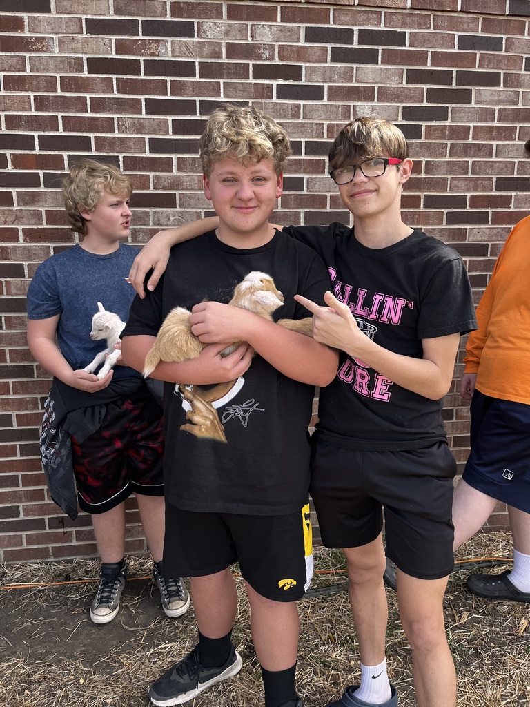 baby goat and students