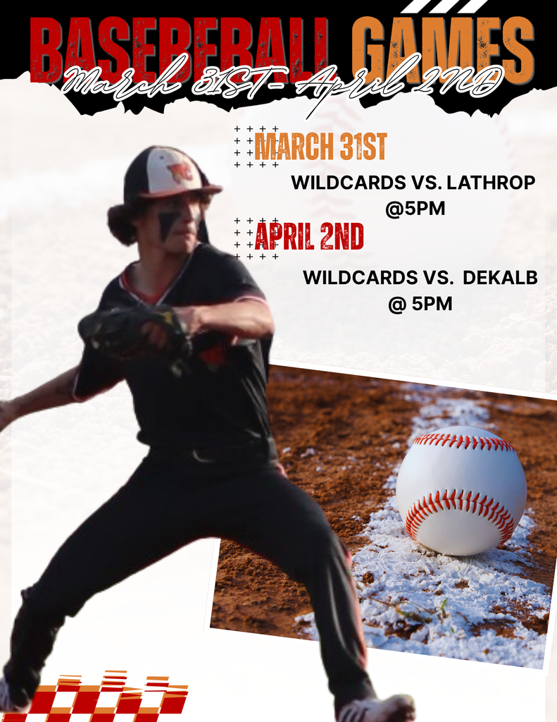 Baseball Flyer