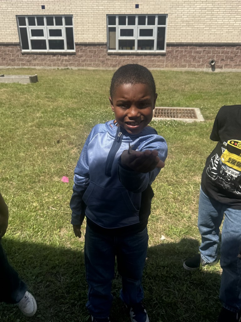 WOSE Butterfly Release 5