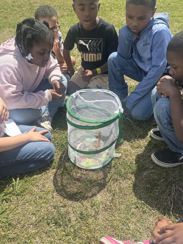 WOSE Butterfly Release 3