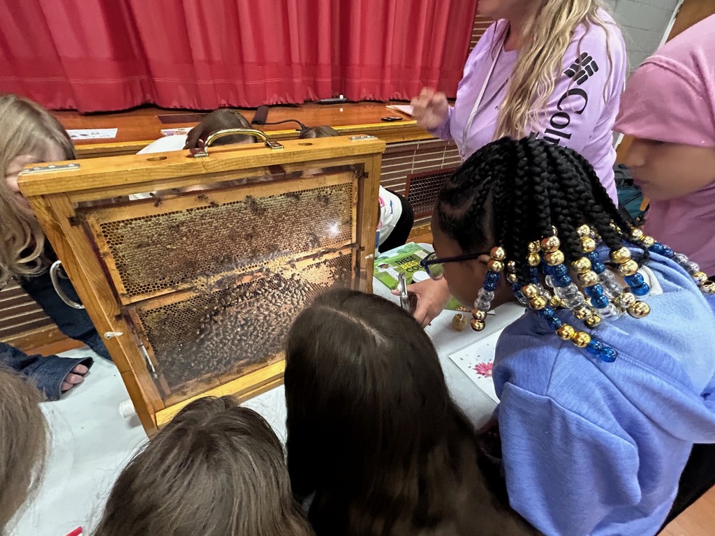 closeup of students looking at hive