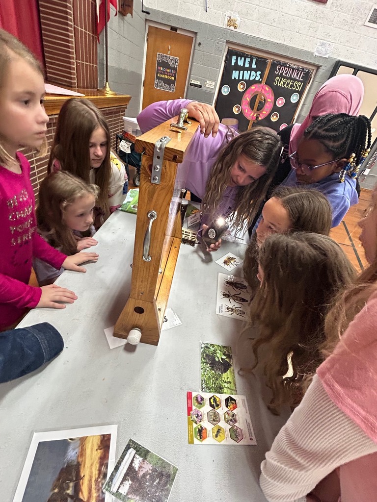 3rd graders looking at hive