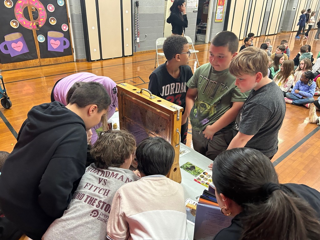 boys on both sides of the hive