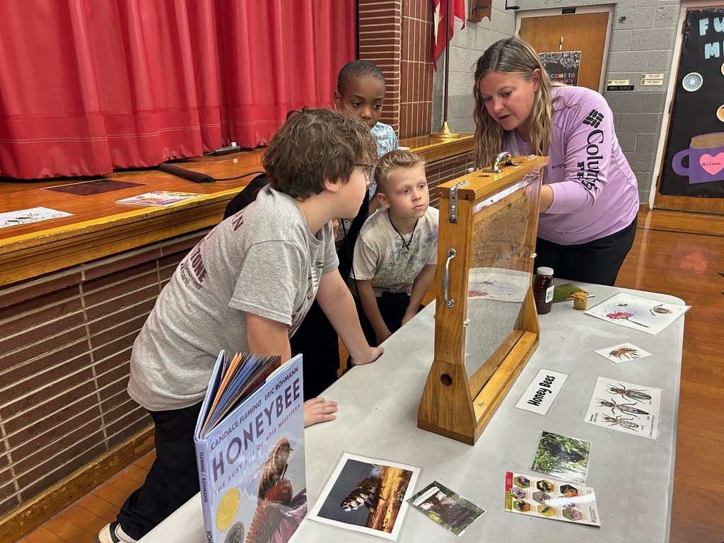 boys and bee keeper looking for queen bee