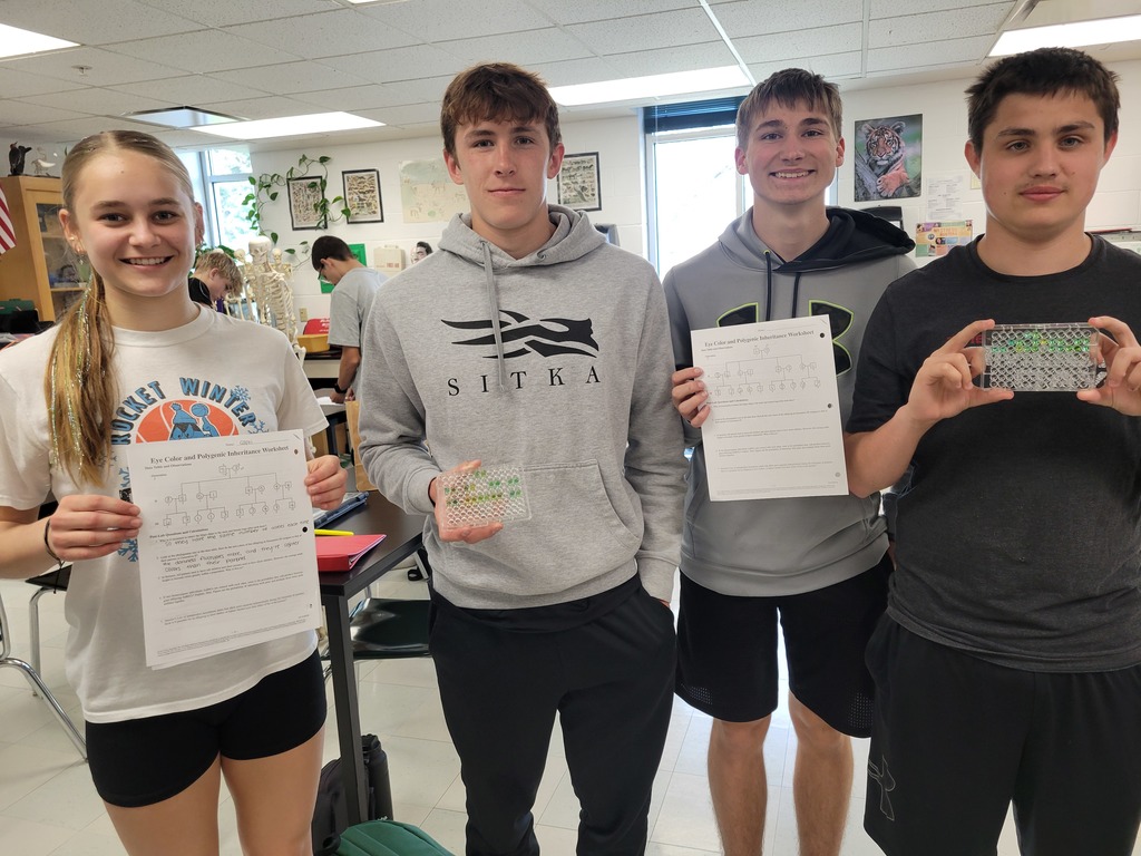 Students with their pedigrees and wellplates. 