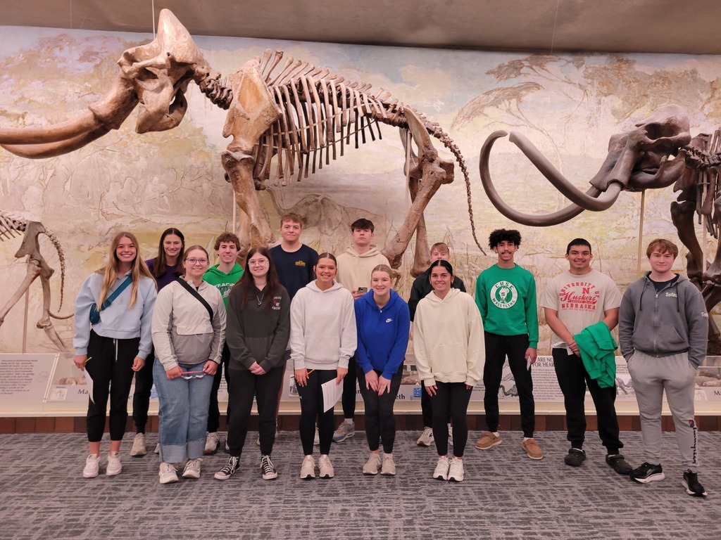 Students explore mammoth fossils. 