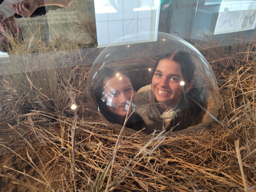 Students have fun exploring. 