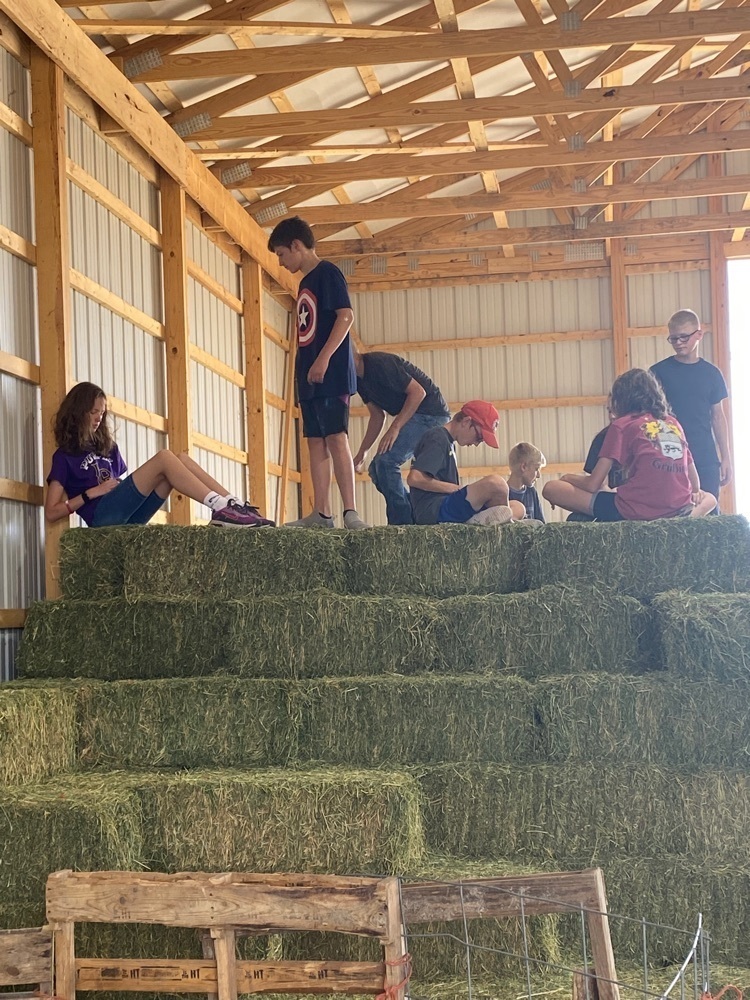 kids with kitten on the haystack