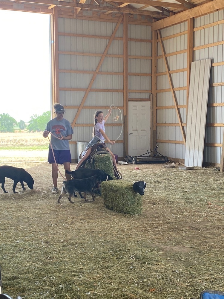 roping practice 