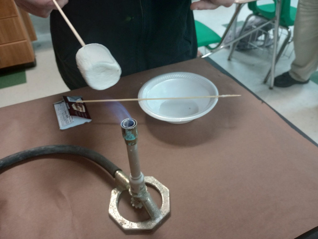 Lab Smores