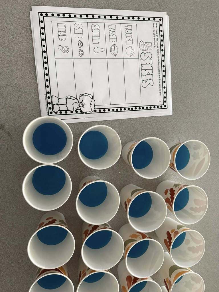 5 Senses worksheet with many cups of blue juice next to the sheet. 
