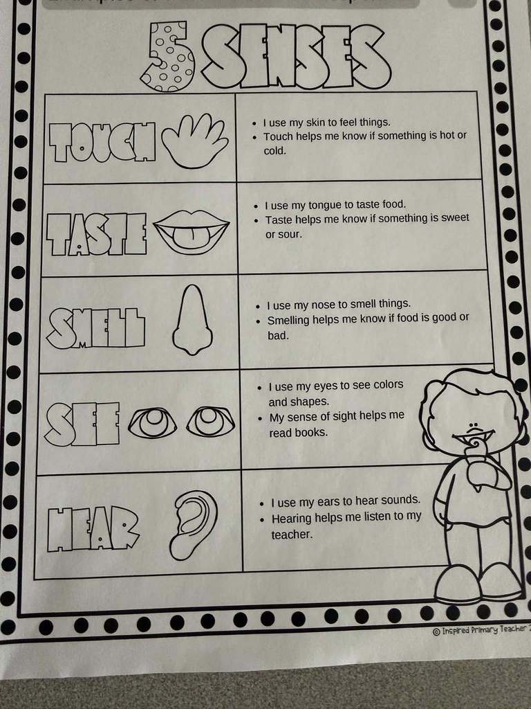 5 Senses worksheet