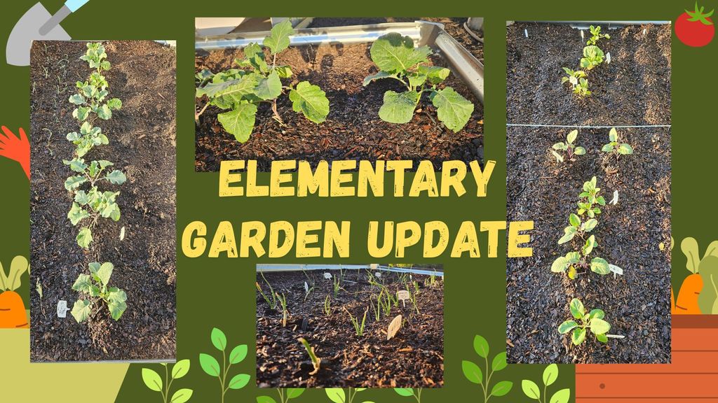 Elementary Garden