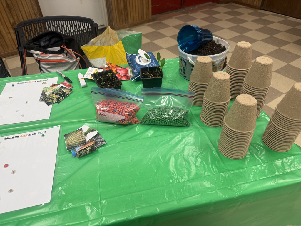 seed samples, soil, and growing cups on top of a job fair booth table
